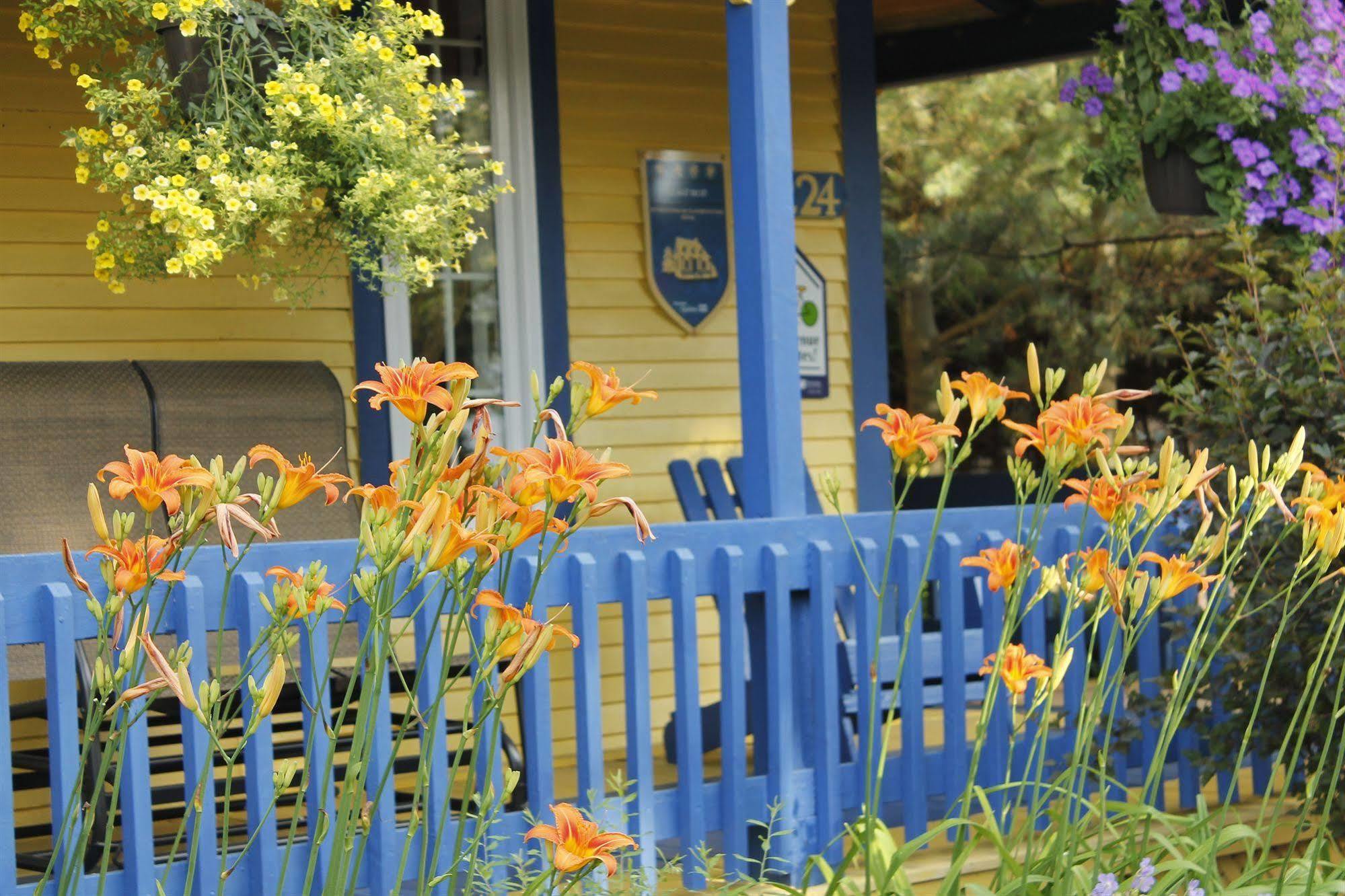 Au Saut Du Lit Bed & Breakfast Magog Exterior photo
